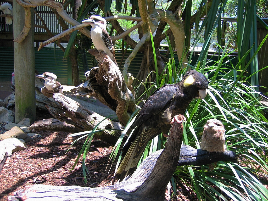 229 Wildlife Habitat Port Douglas.jpg